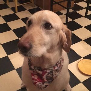 Meet your Posher, Vince